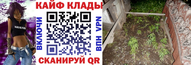 Где купить наркоту Ульяновск COCAIN Альфа ПВП Амфетамин ГАШ