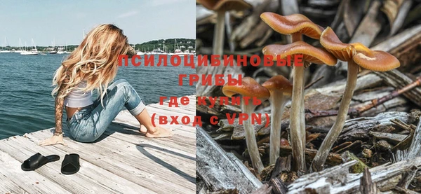 мдпв Беломорск