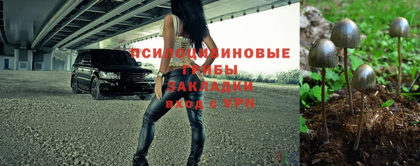 мдпв Беломорск